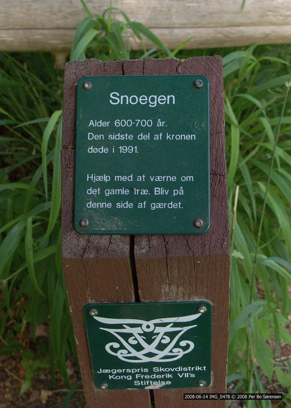 2008-06-14 IMG_0478.JPG